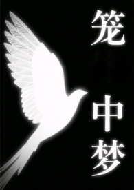 笼中梦