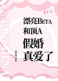 漂亮beta和顶A假婚真爱了