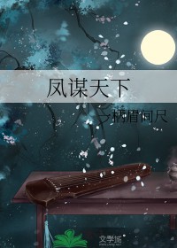 凤谋天下